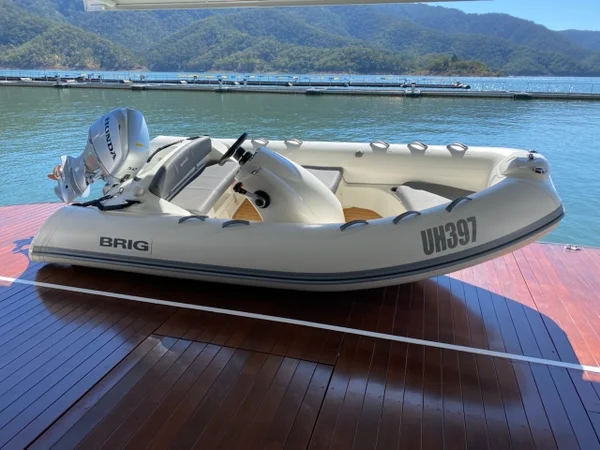 2019 Brig 380 with Honda 50hp